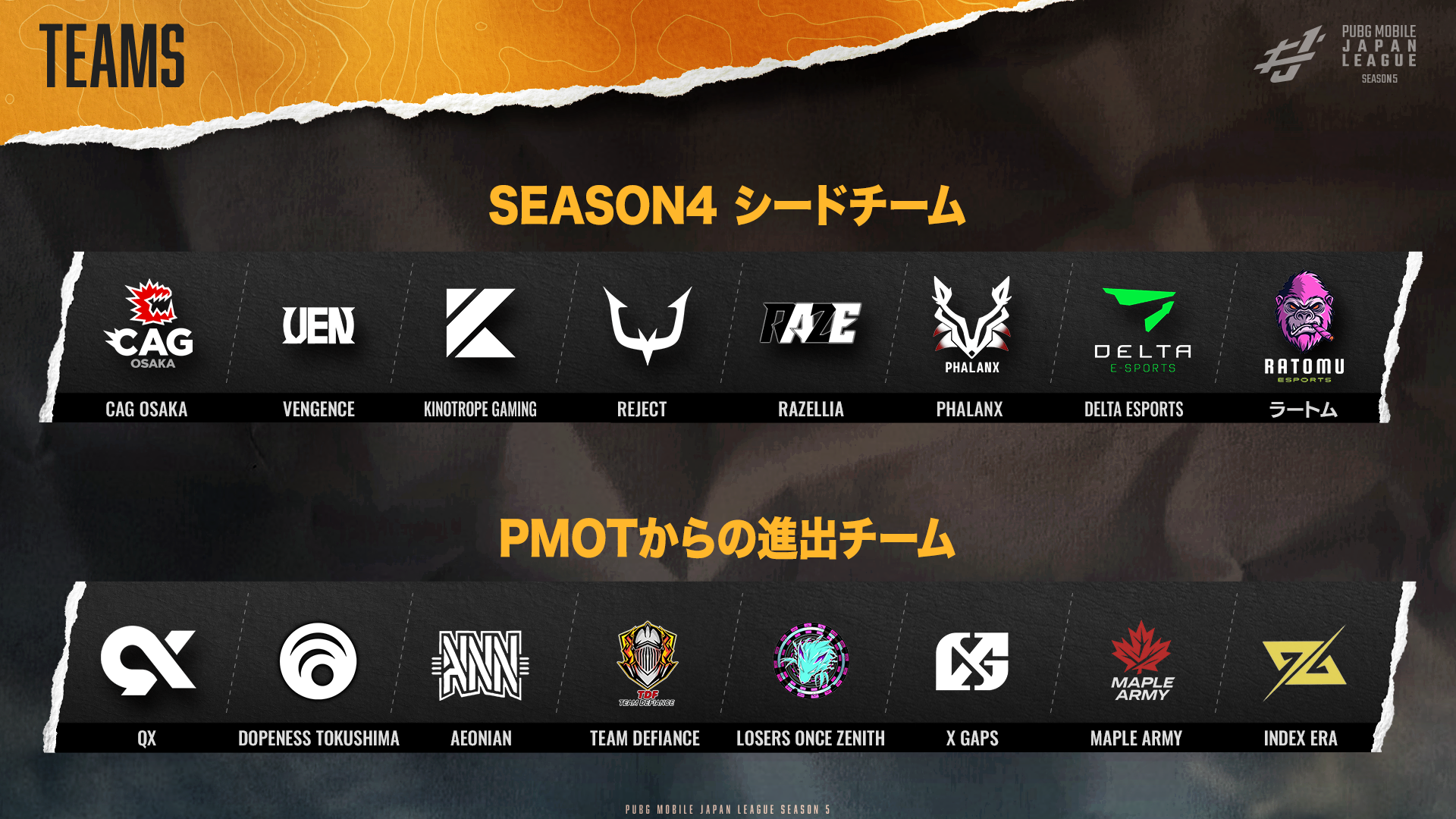 TEAMS.png